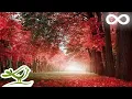 Beautiful Relaxing - Piano, Cello & Guitar by Soothing Relaxation Mp3 Song Download
