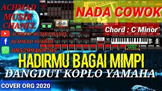 Download HADIRMU BAGAI MIMPI KARAOKE NADA COWOK DANGDUT KOPLO Cover ORG 2020 MP3