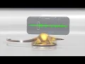 Discover the Activity of Your Neurons with the Maestro MEA System