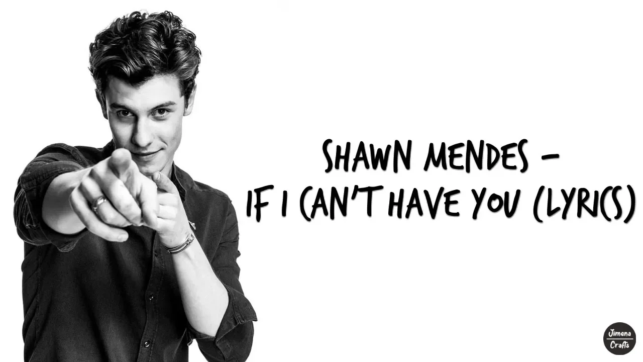 Shawn Mendes - If I Can't Have You (Lyrics)