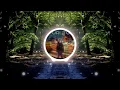 Ruhfikra x Mesto - Puri Tu x Looking Back (VINCE Mashup)