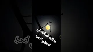 شيلة ماقلت لك حمزه العزي ياسر المرواني ترند اليوم 