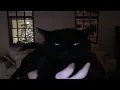 CaseOh shows off sleepy Kitty
