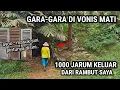 Download Lagu MUSTAHIL UNTUK PERCAYA!! TAPI ORANG INI TINGGAL DI RUMAH YANG TIDAK MASUK AKAL