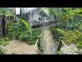 Download Lagu Suasana Pagi Di Kampung Yang Tenang, Hujan Deras Mengguyur Kampung Yang Indah, Pedesaan Jawa Barat