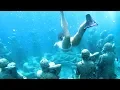 Download Lagu Top 10 Things to SEE in Bali
