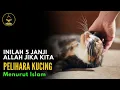 Download Lagu Inilah 5 Janji Allah Bagi Orang Yang Suka Pelihara Kucing