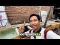 Download Lagu Persiapan 115 Ekor Ikan Guppy dan Molly untuk dikirim. Review, Packing dan Perlengkapan bungkus ikan