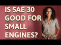 Is SAE 30 good for small engines