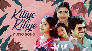 kiliye kiliye audio song aa raathri ilayaraja s janaki poovachal khader