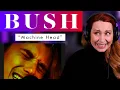 Download Lagu Is Bush \
