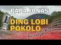Lagu 🎶 Papa Jonas – Ding Lobi Pokolo ❤️🔥