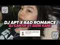 Download Lagu DJ APT X BAD ROMANCE DJ CANTIK | APT DJ CANTIK BY SIDIK KANE VIRAL TIK TOK TERBARU 2024