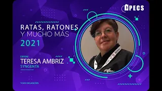 ¡Ratas, ratones y mucho más!