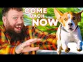 How To Teach Your Dog PERFECT RECALL In Under 5 Minutes