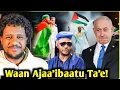 Download Lagu 🛑Waan Ajaa'ibaatu dalagame/Naannoo amaaraatti mormiin dho'e/jorj abboo Dinqisiifatame/Zad ORO