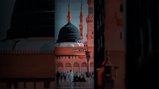 سيدي ابا القاسم قلبي فيك هائم  سيدي ابا القاسم قلبي فيك هائم