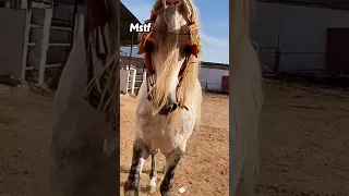 الله الله عليك يا لزرق خليتني بلا عقل 