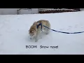 How To Get A Snow Nose