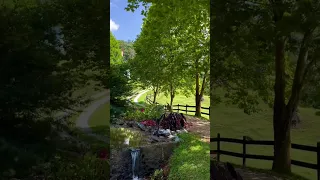 ماتيسر من سورة الكهف    القارئ محمود الشافعي دندنها