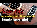 Download Lagu senandung istri Bromocorah Iwan fals karaoke