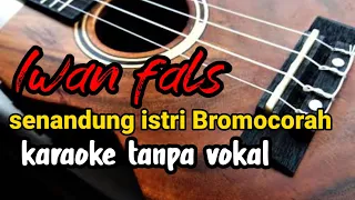 Download senandung istri Bromocorah Iwan fals karaoke MP3