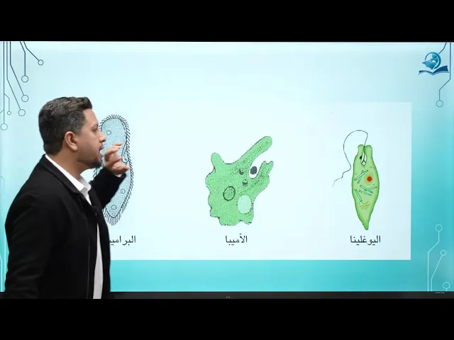 مادة الاحياء للصف الثاني المتوسط / الفصل الثالث / الدرس الأول/  مملكة الطليعيات - ج1 اللحميات