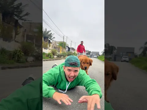 É IMPOSSÍVEL FUGIR DO MEU CACHORRO!