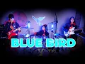 Lagu 「BLUE BIRD」 - Naruto Shippuden | Cover by MAD CARROT