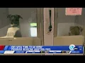 CNYSPCA Time to Go Home program reducing adoption fees