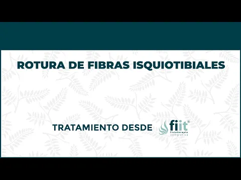 Rotura de Fibras de Isquiotibiales. Tratamiento de Fisioterapia - FisioClinics Logroño