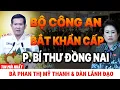 Download Lagu [PODCAST] Bộ Công An bắt khẩn cấp P.Bí Thư Tỉnh Đồng Nai: Bà Phan Thị Mỹ Thanh \u0026 Dàn Lãnh Đạo
