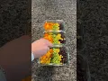 Download Lagu Edamame bean salad 🫛💫 recipe on instagram / TikTok @ alyssamjobes 🤍