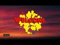 Wizkid ft. Ayra Starr  - 2 Sugar (lyrics)