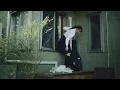 美しい鰭 - Beautiful Fin - Spitz