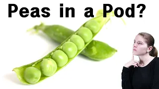Two Peas In A Pod 