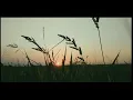 Download Lagu Hidupku sunyi-Boomerang (unofficial Video)