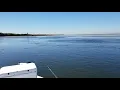 Tampa Bay at low tide