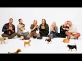 Critical Role Cast The Puppy Interview