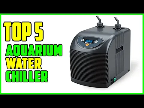 Download MP3 TOP 5 Best Aquarium Water Chiller 2023 | Top Fish Tank Water Chiller Reviews