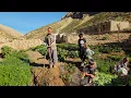 Download Lagu Nomadisch leven: Nomadisch tuinieren in Zagros | Verse groenten oogsten door nomadische families 🧺 🌿
