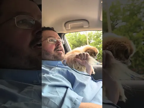 Francis is a terrible pet owner. Cancel him immediately. You can’t hold your dog out the window.