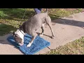 The Mud Away Mat Does It Really Work