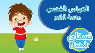 كريم الحواس الخمس حاسة الشم 