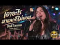 เอาอะไรมาแลกก็ไม่ยอม - เพลงรักความหมายดี บิลลี่ โอแกน | Cover By SABAIDEEMUSIC1 | รวมเพลงดัง ฟังสบาย