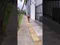 Valeria castaneda