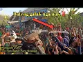 Download Lagu Banteng galak ‼️ MANGGOLO PUTRO Live Sonogabel Pace Nganjuk