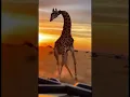 Giraffe vs Hyena: Animal Defense 🐾🦒
