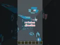 2 Way bubble Elevator