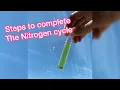 The Nitrogen cycle steps and API water test kit